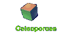 Osteoporose