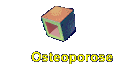 Osteoporose